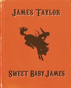 Sweet Baby James pop up book